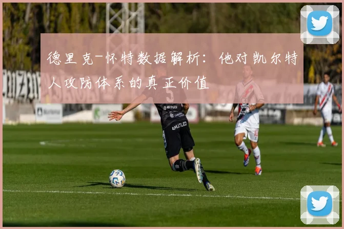 德里克-怀特数据解析：他对凯尔特人攻防体系的真正价值
